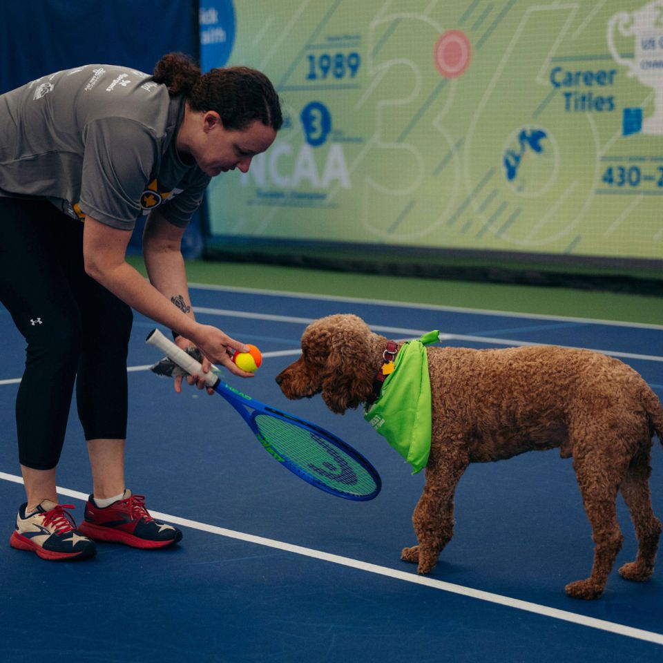 A person on a tennis court interacts with a dog wearing a green bandana, holding a tennis racket and ball, ready to play.