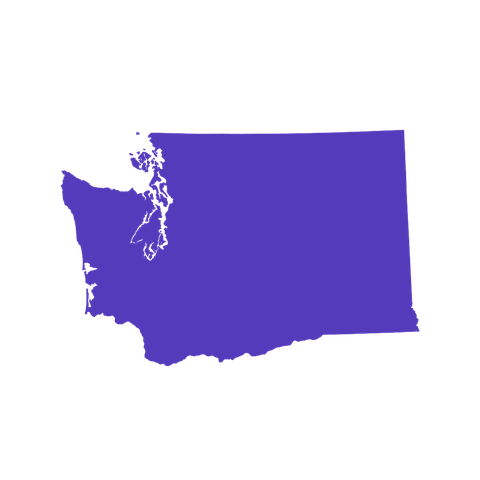 Washington State Graphic