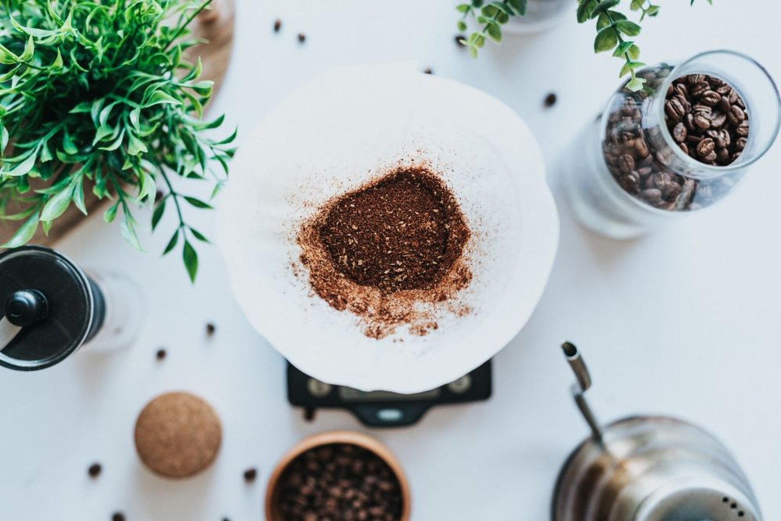 Manual pour-over brewer with freshly brewed filter coffee.