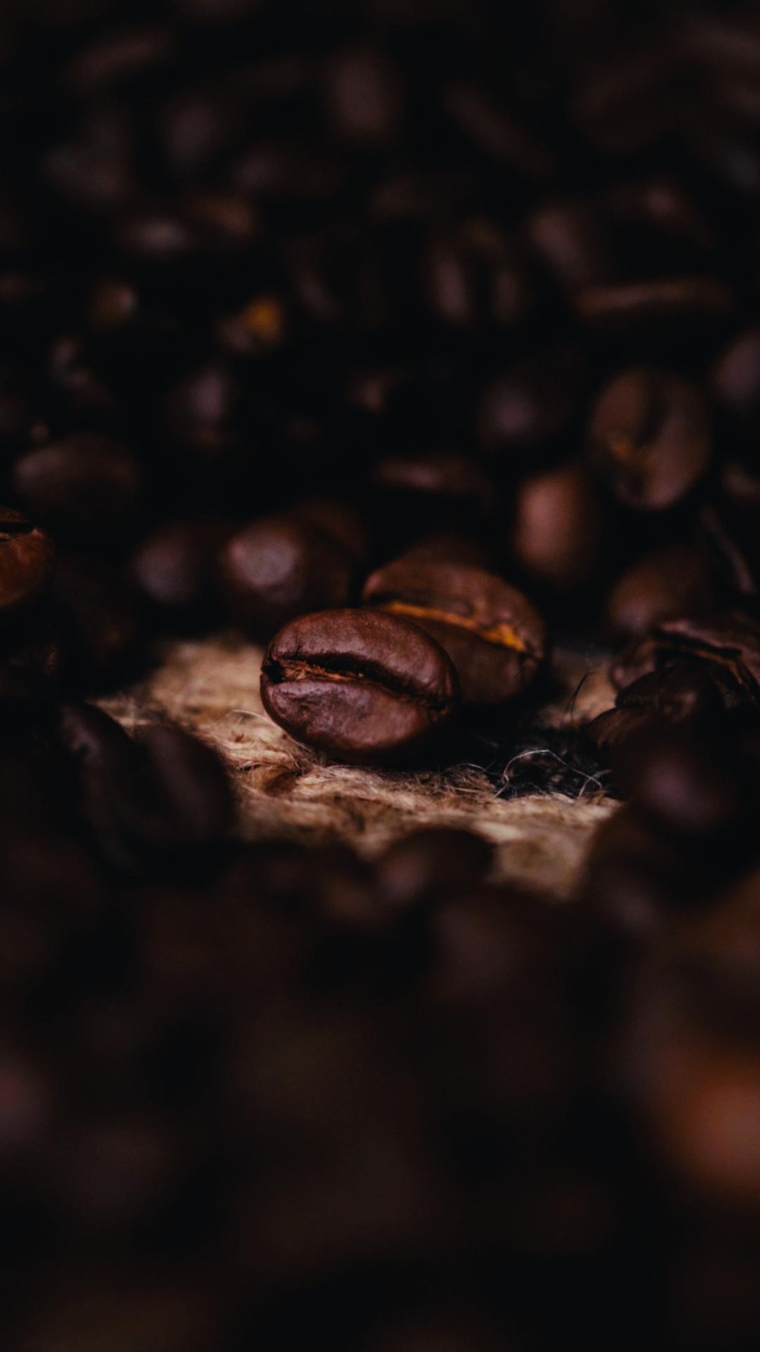 coffee beans close up