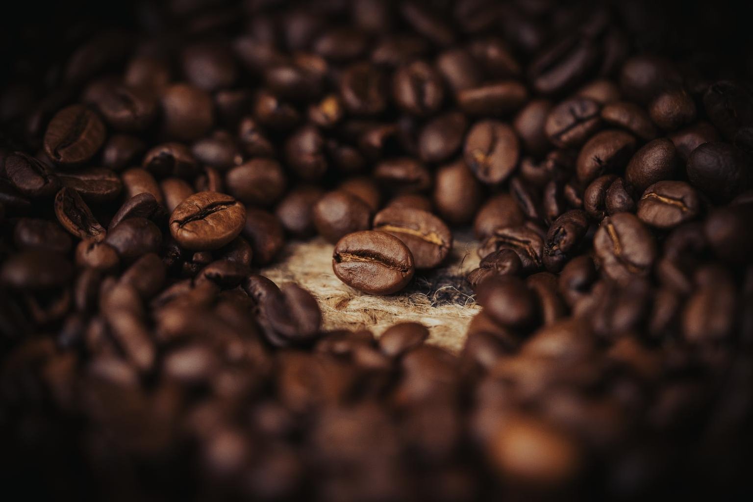 Public Coffee Roasters brand image