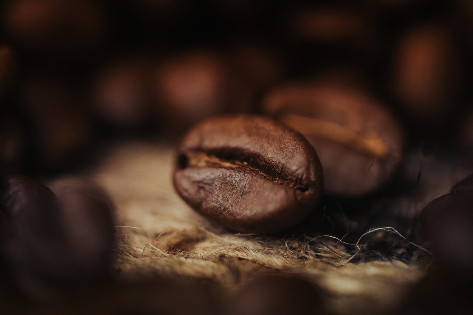 close up coffee bean