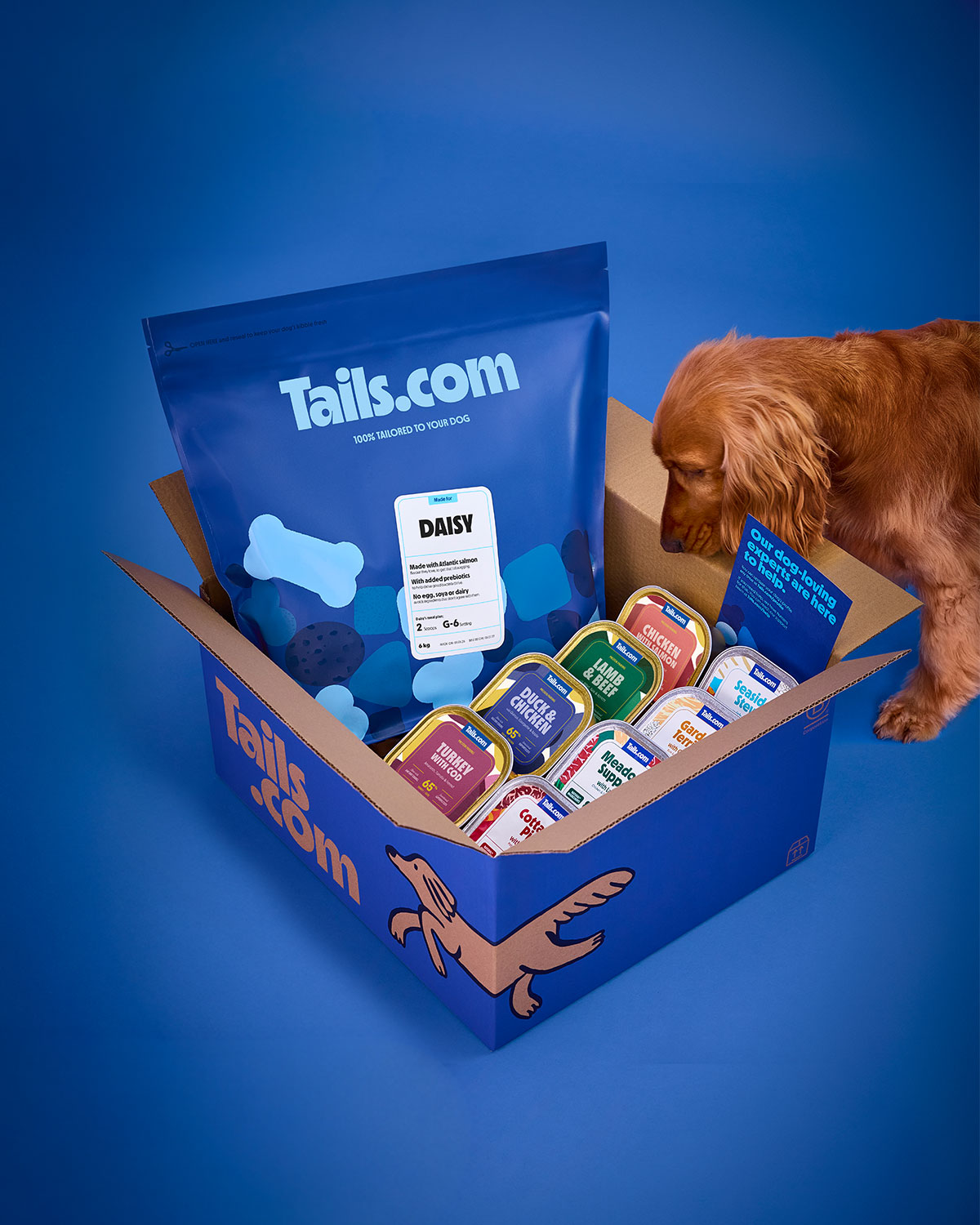 A dog sniffs a cardboard box from Tails.com filled with various dog food packets against a blue background.