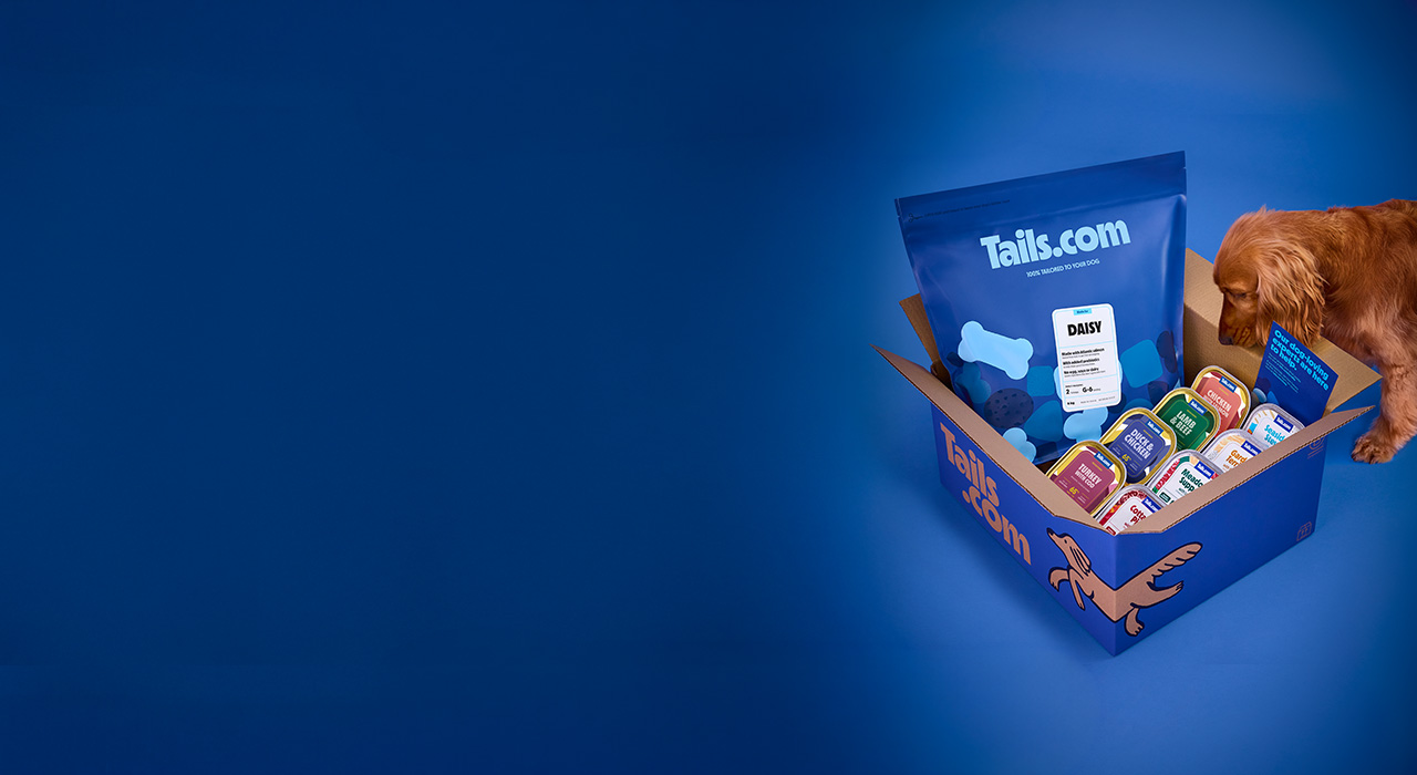 A dog sniffs a Tails.com box filled with pet food packages against a blue background.