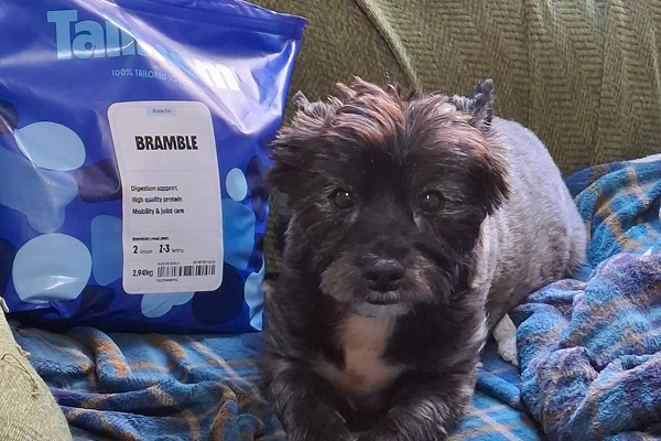 Bramble & her bag