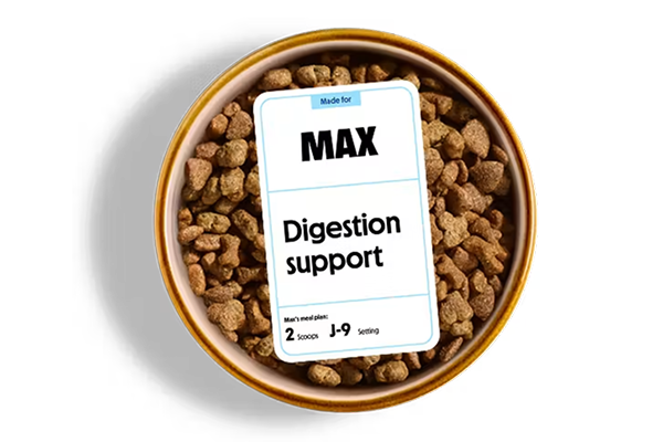 Digestion support dog bowl