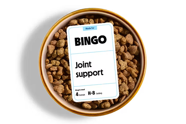 Joint support dog bowl