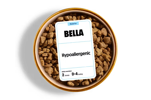 hypoallergenic dog bowl