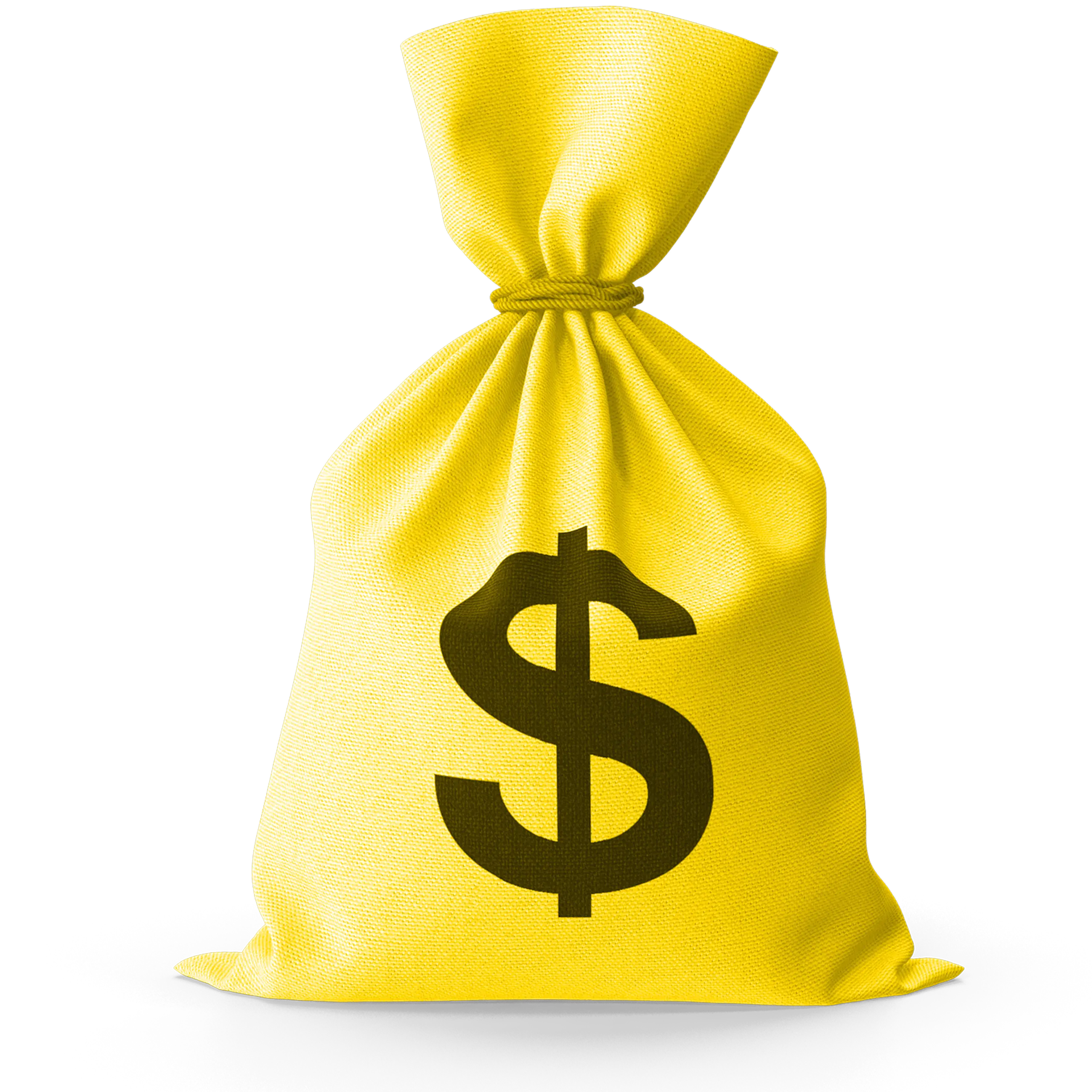 money bag 3