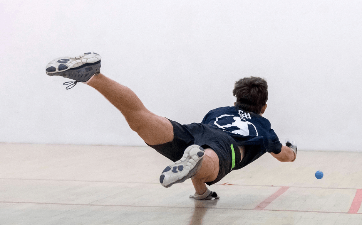 GAA Handball Ireland logo
