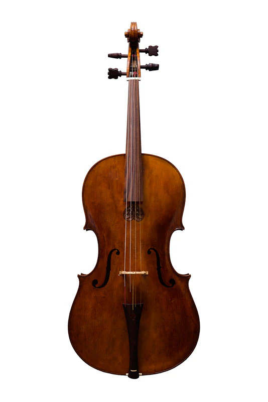 Violoncello nach Martin Kaiser (Venedig, 1679) in der Vorderansicht mit Decke und Steg.