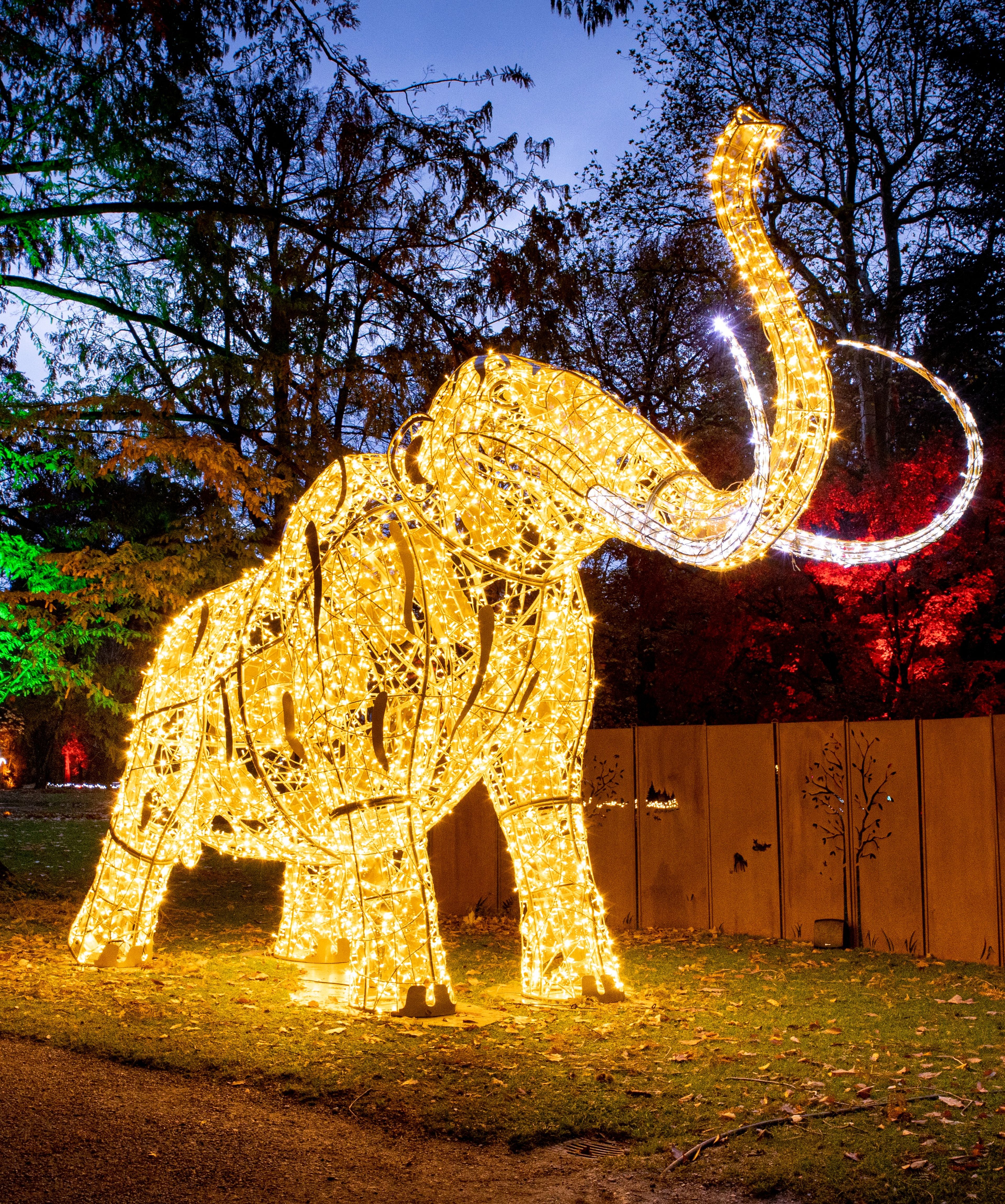 Leuchtende Elefantenfigur mit Lichtern geschmückt, steht nachts in einem Park vor Bäumen und einem Holzzaun.