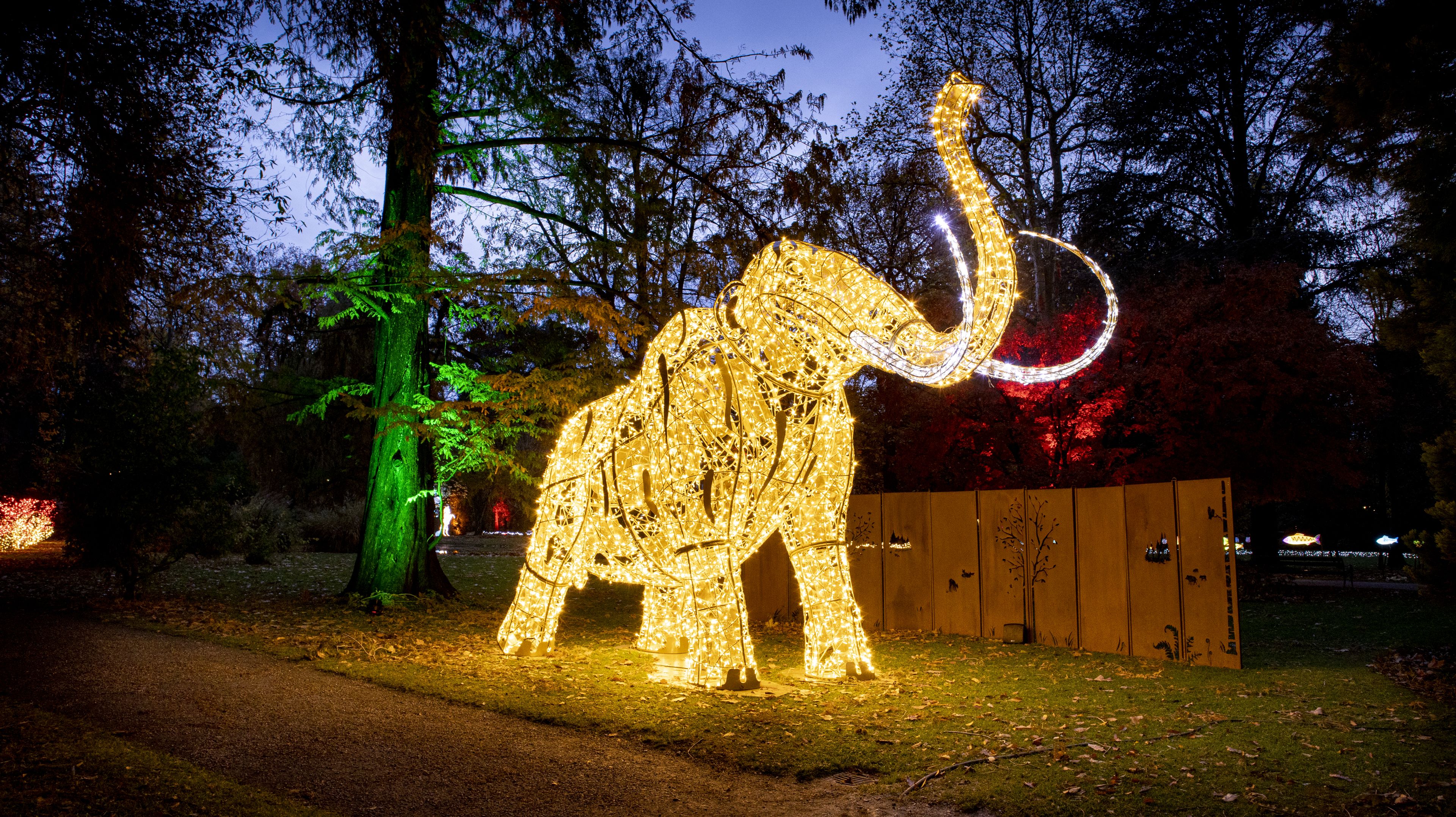 Leuchtende Elefantenfigur aus Lichtern in einem Park, umgeben von beleuchteten Bäumen bei Dämmerung.