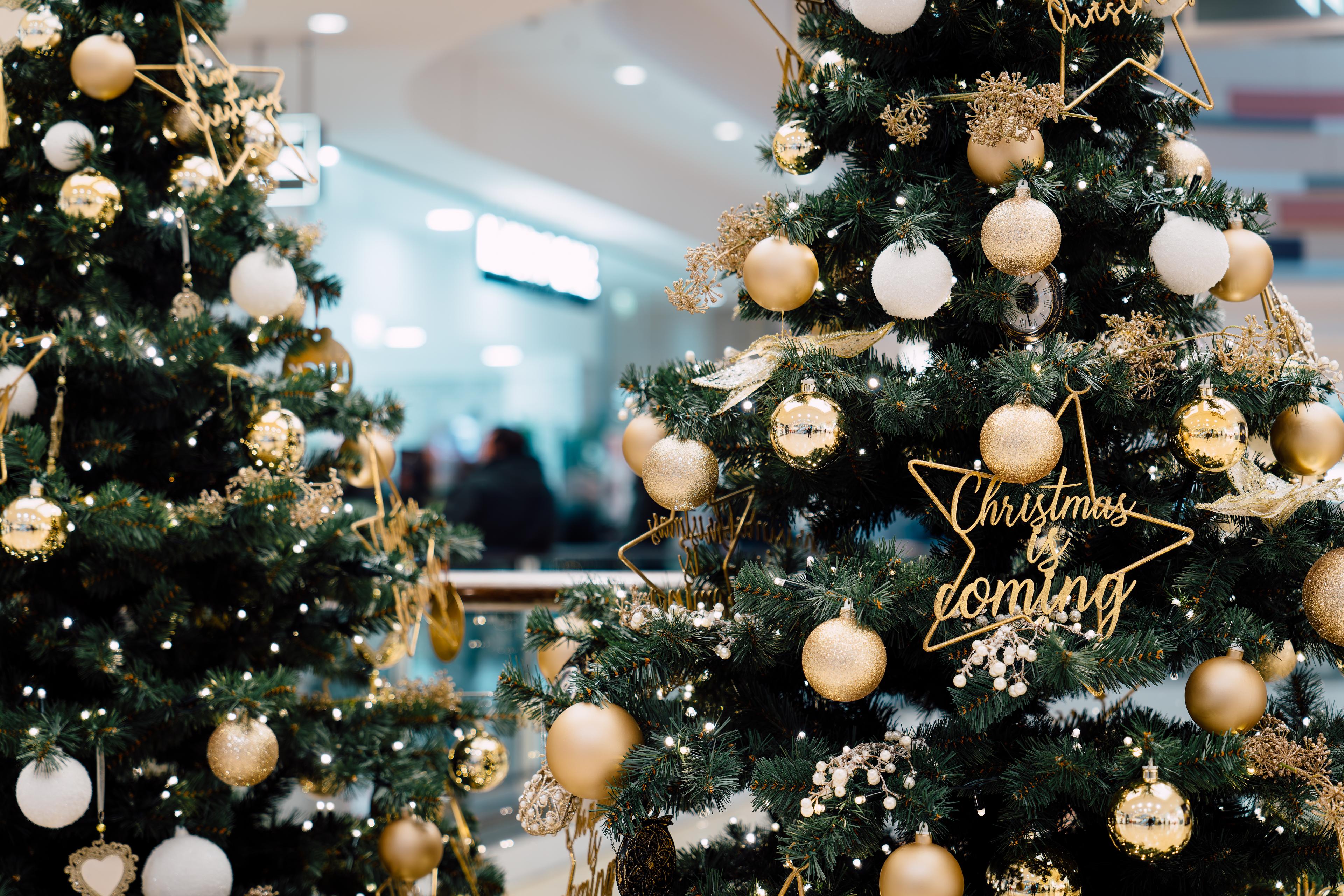 Geschmückte Weihnachtsbäume mit goldenen und weißen Kugeln in einem Einkaufszentrum, Stern mit Schriftzug "Christmas is coming".