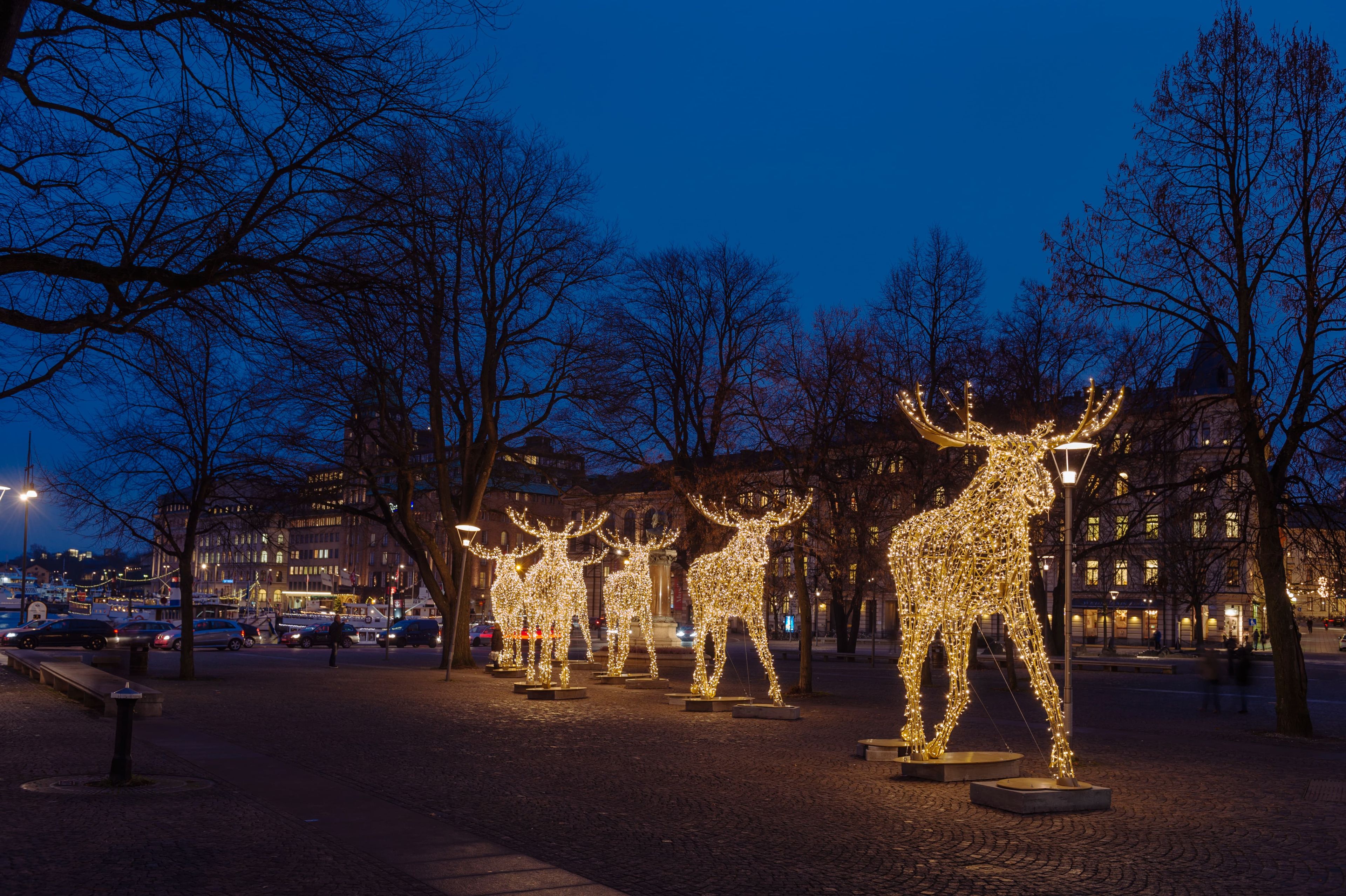 Illuminated reindeer sculptures made of lights stand in a row on a city street at dusk, surrounded by bare trees and buildings.