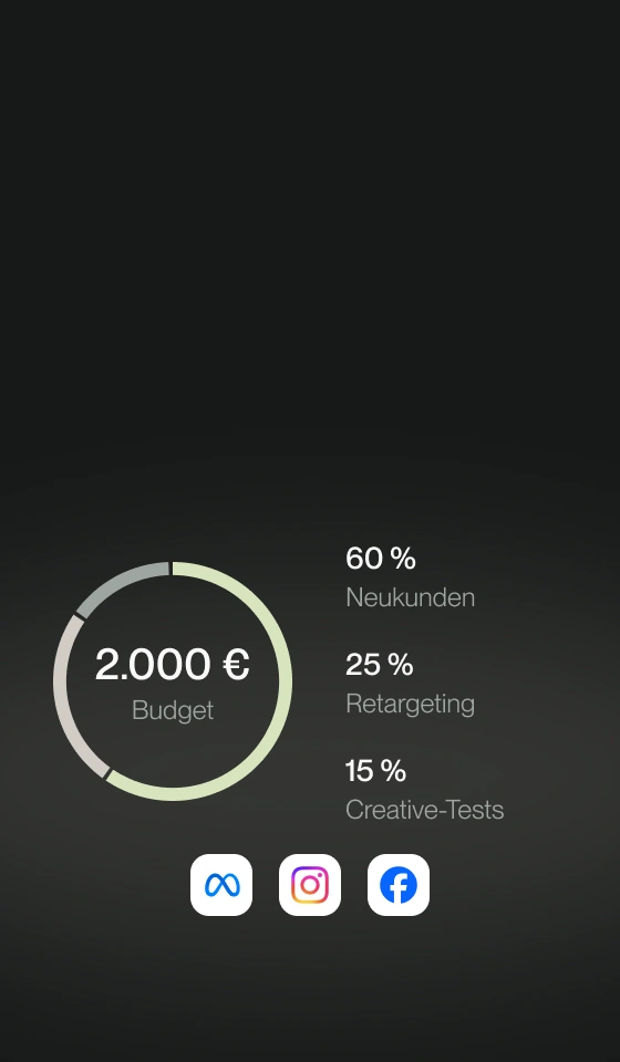Budgetverteilung auf Neukunden, Retargeting und Creative-Tests mit Ringdiagramm und Legende.