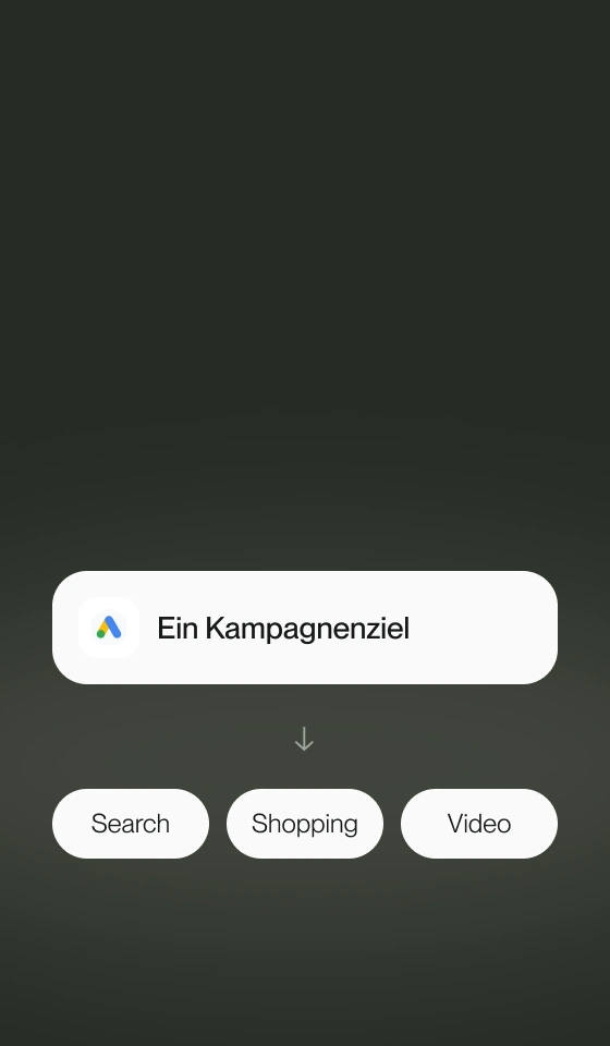 Ein gemeinsames Google-Ads-Kampagnenziel verbindet Search-, Shopping- und Video-Platzierungen.