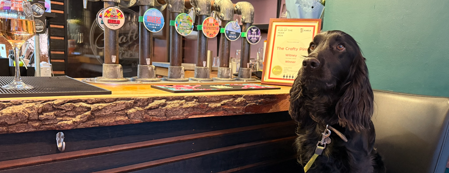 A black dog sits by a bar at The Crafty Pint, with beer taps and a drink on the counter, next to an award plaque.