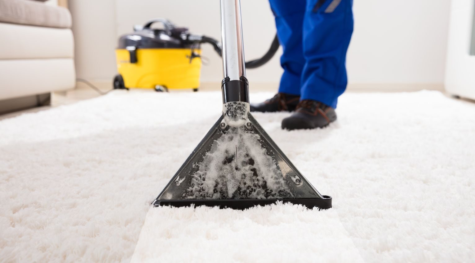 Professional carpet cleaning