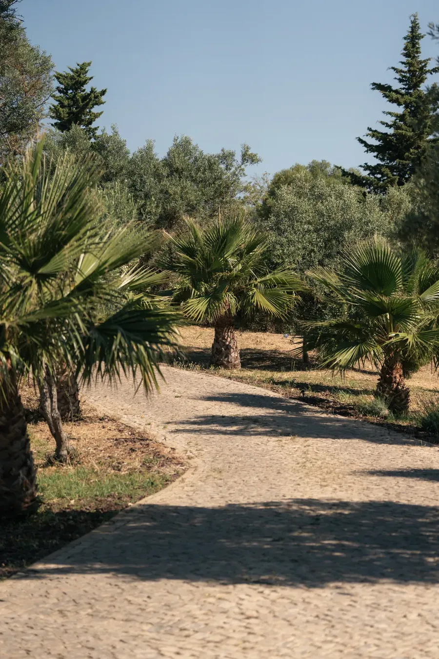 Hotel & Grounds