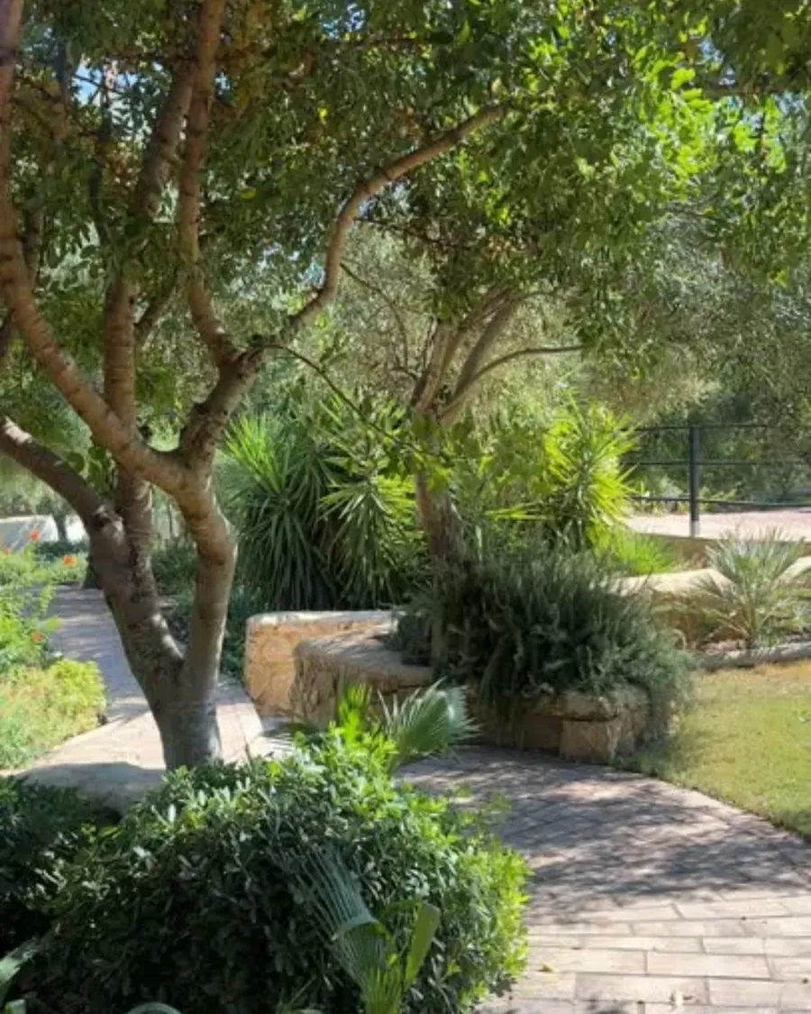 Mediterranean garden pathway at Solar Alvura