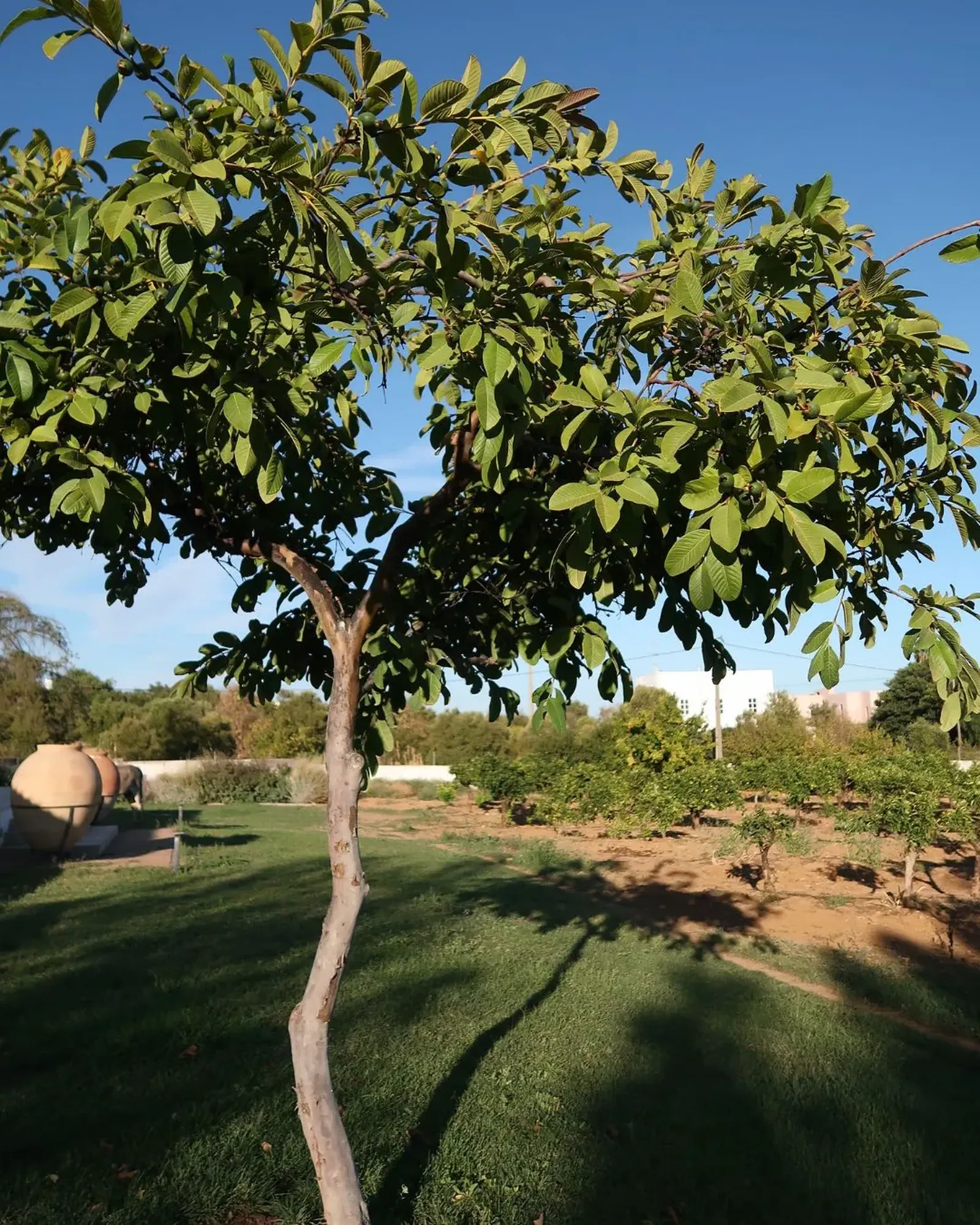 Best Time to Visit the Algarve for a Wellness Holiday