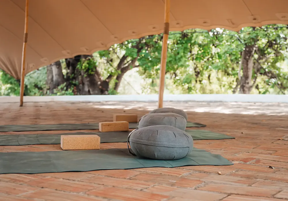 Wellness Activities
