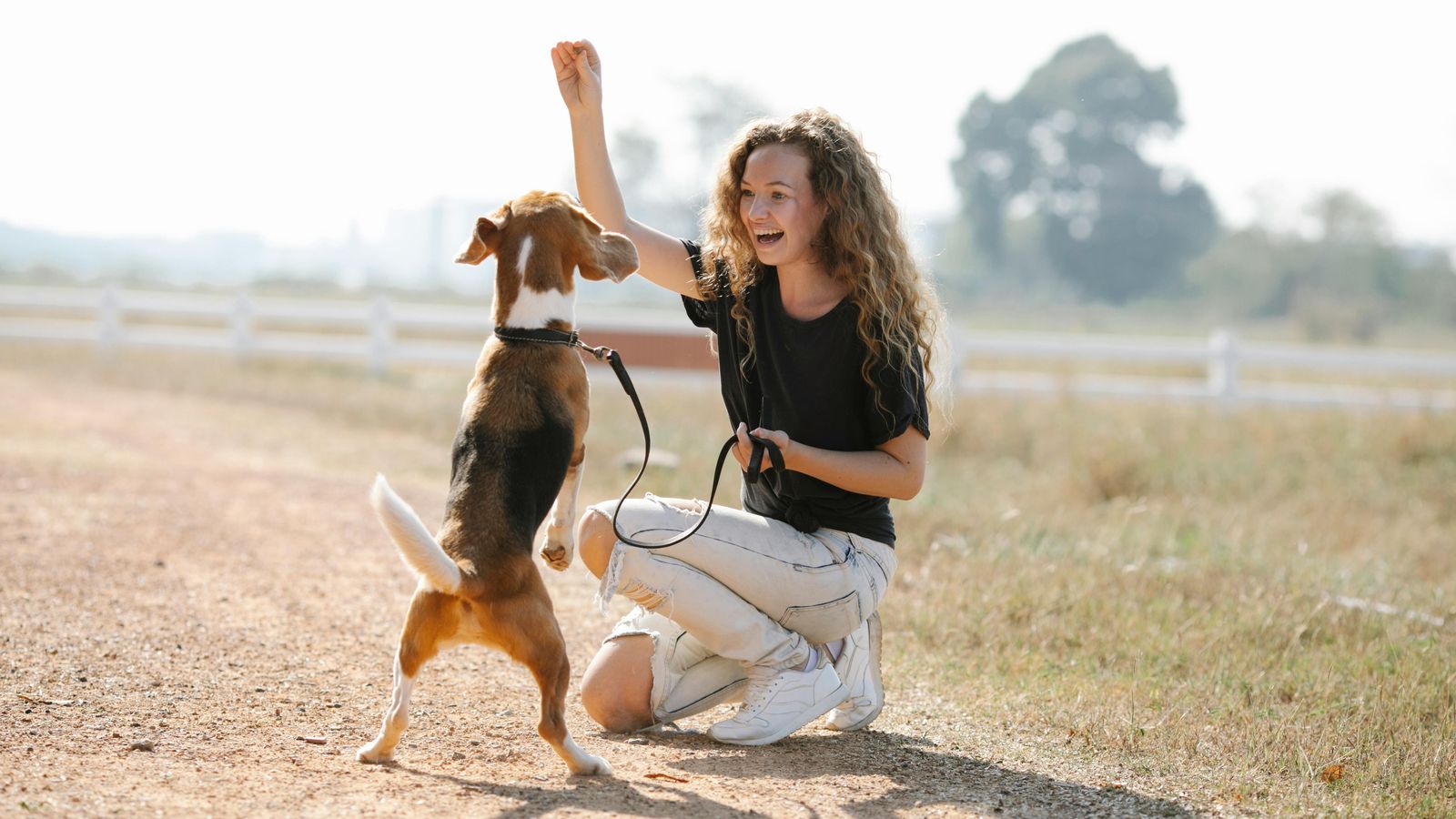 Online Hundeschule: DOGS (Conny Sporrer) – lohnt sich das Abo?