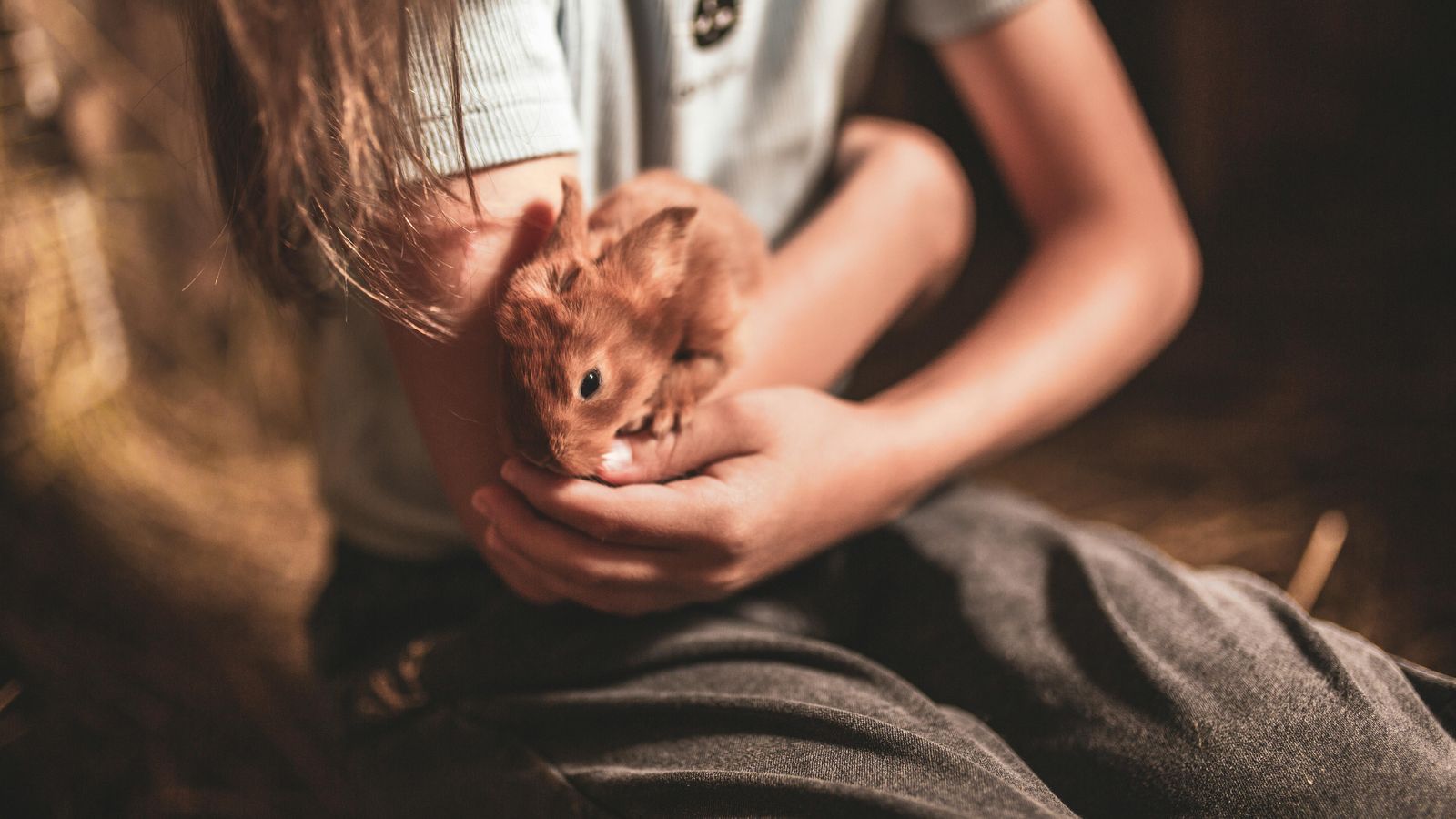 Haustiere mit Kindern: Welches passt zu euch?