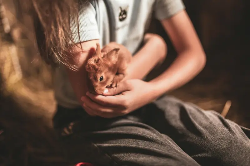 Haustiere mit Kindern: Welches passt zu euch?