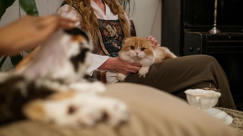 Tiergestützte Therapie: Ein Weg zu mehr Wohlbefinden durch die Kraft der Vierbeiner