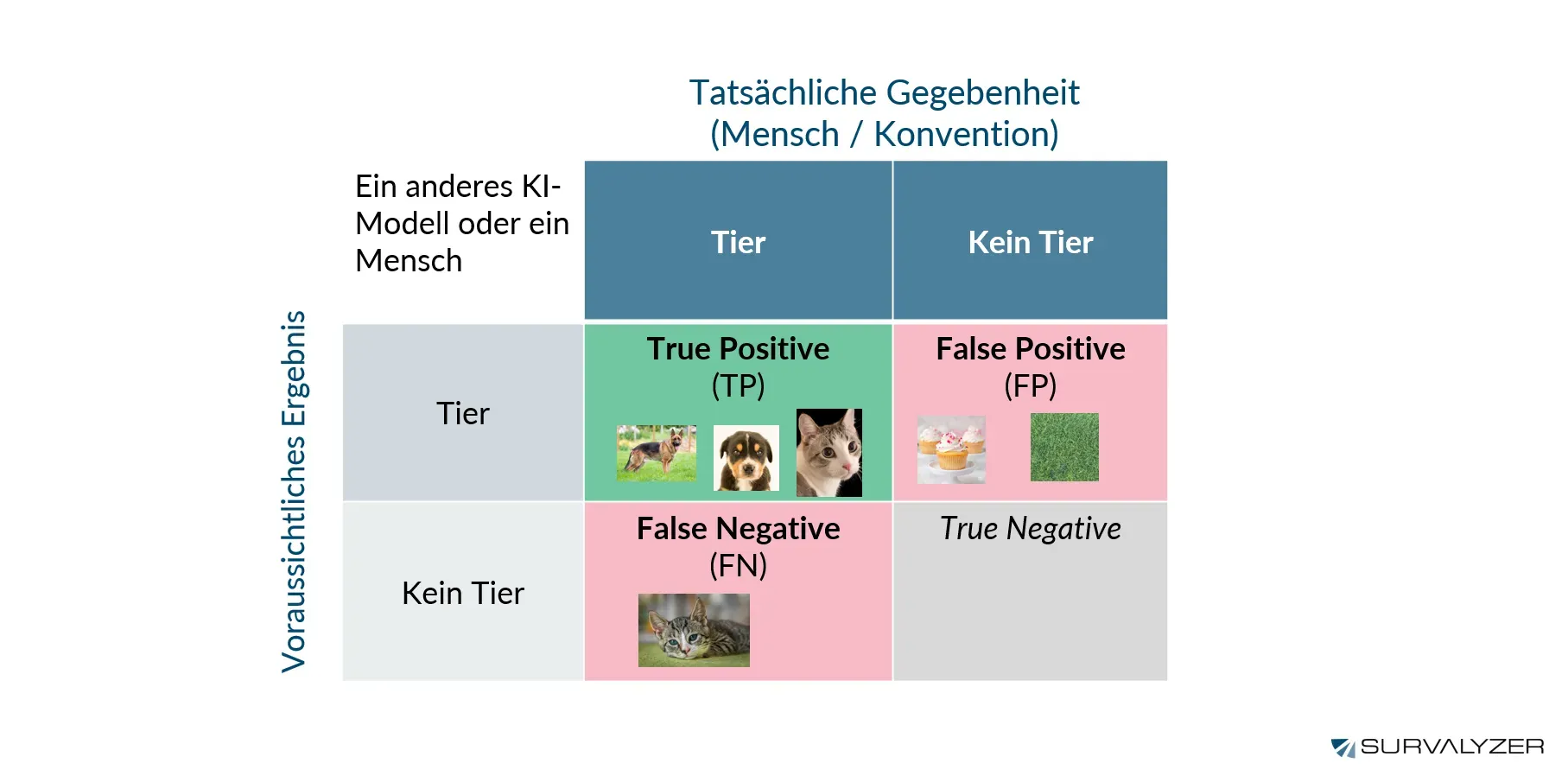 Verstandnis-der-Klassifikationsergebnisse