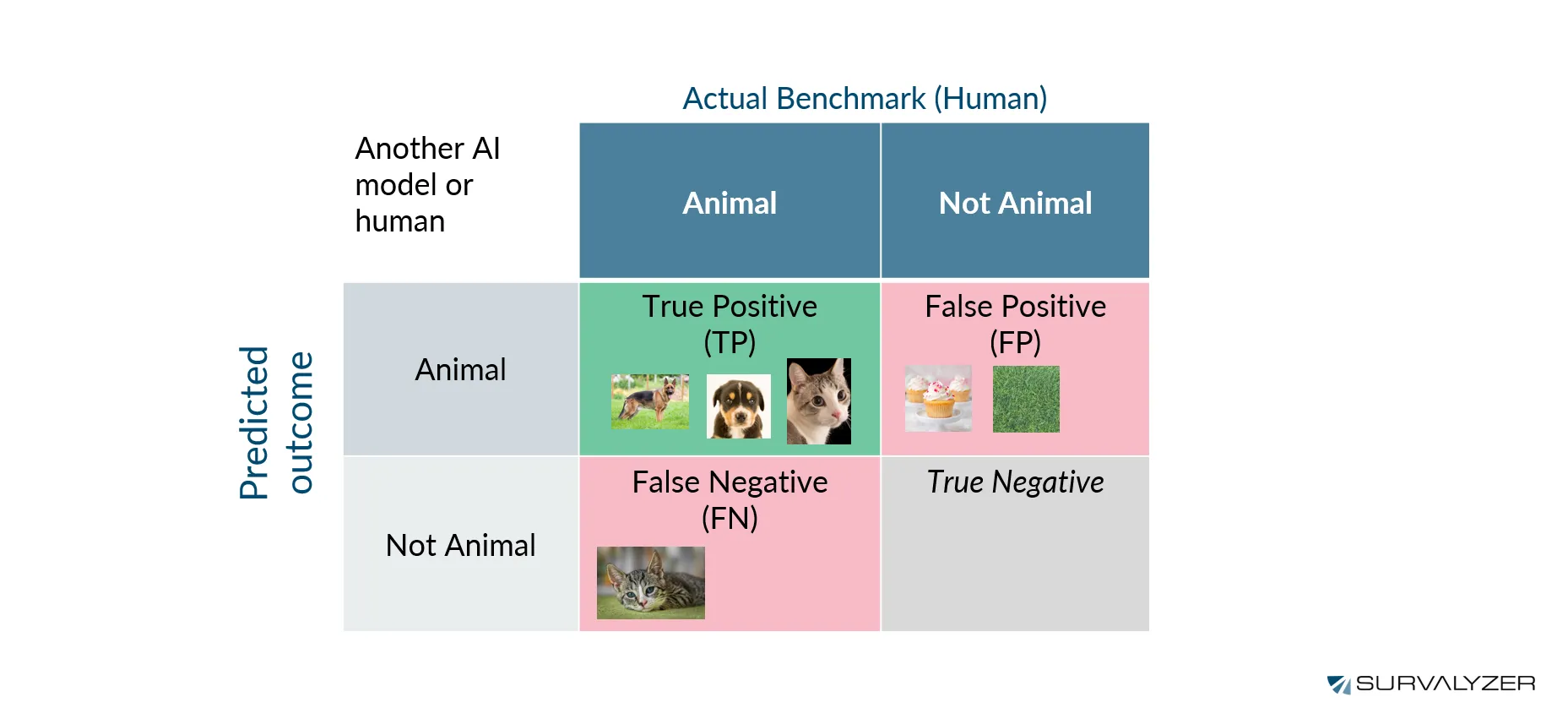breakdown of AI model predictions versus human benchmarks for animal identification