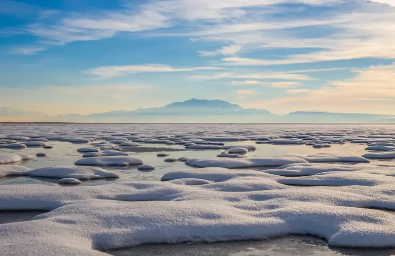 Visit Salt Lake case study tile