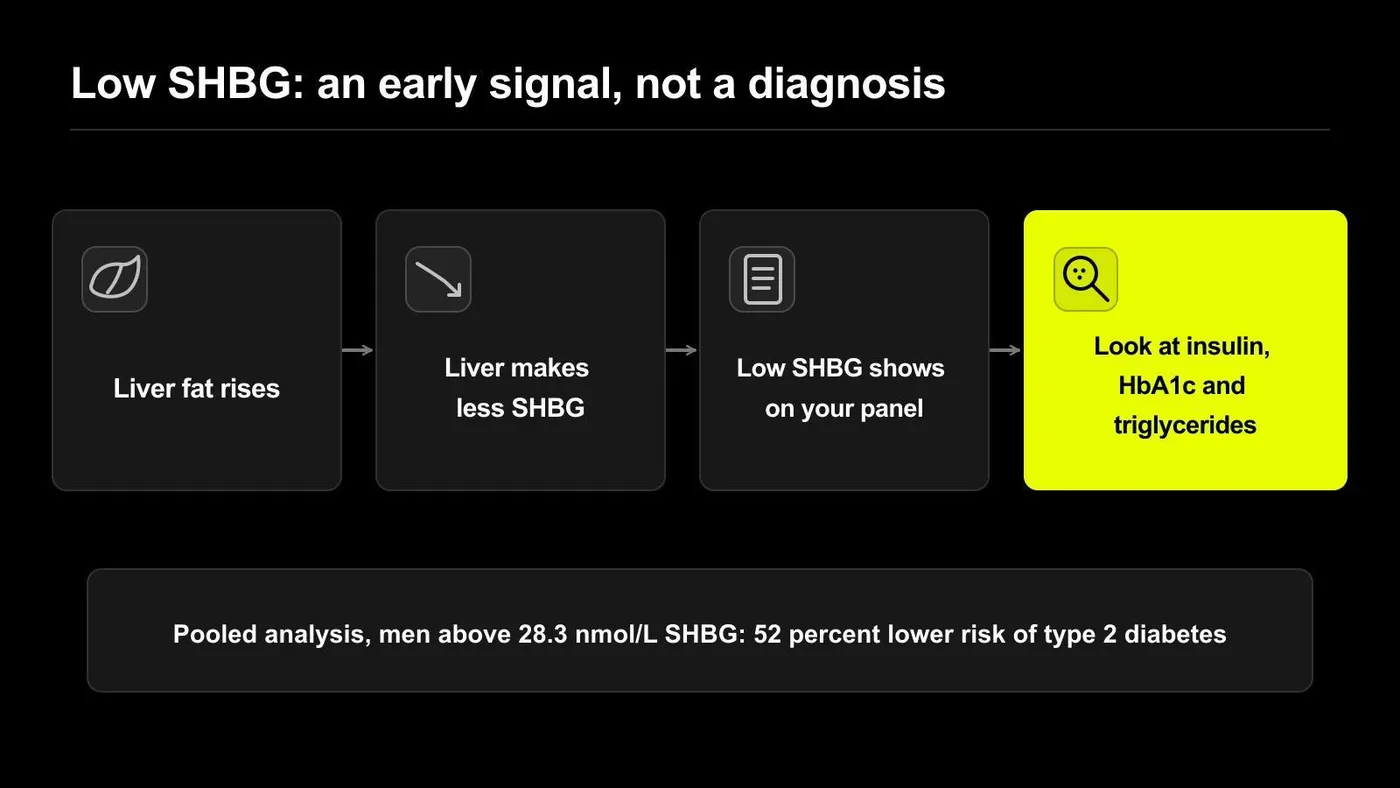 low SHBG insulin resistance marker
