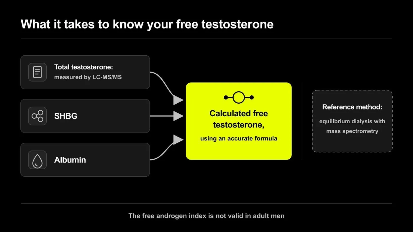 calculated free testosterone from total testosterone, SHBG and albumin, with equilibrium dialysis as the reference method