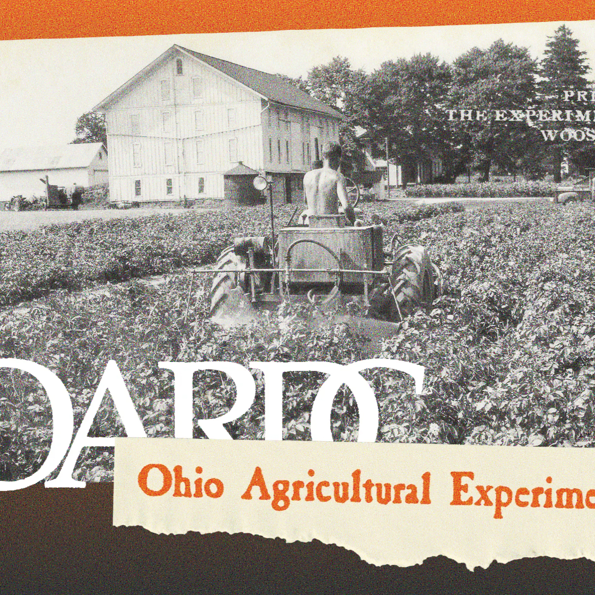 The Snyder Farm of the Ohio Agricultural Experiment Station (as it was known then), home to field plots for various research departments.
