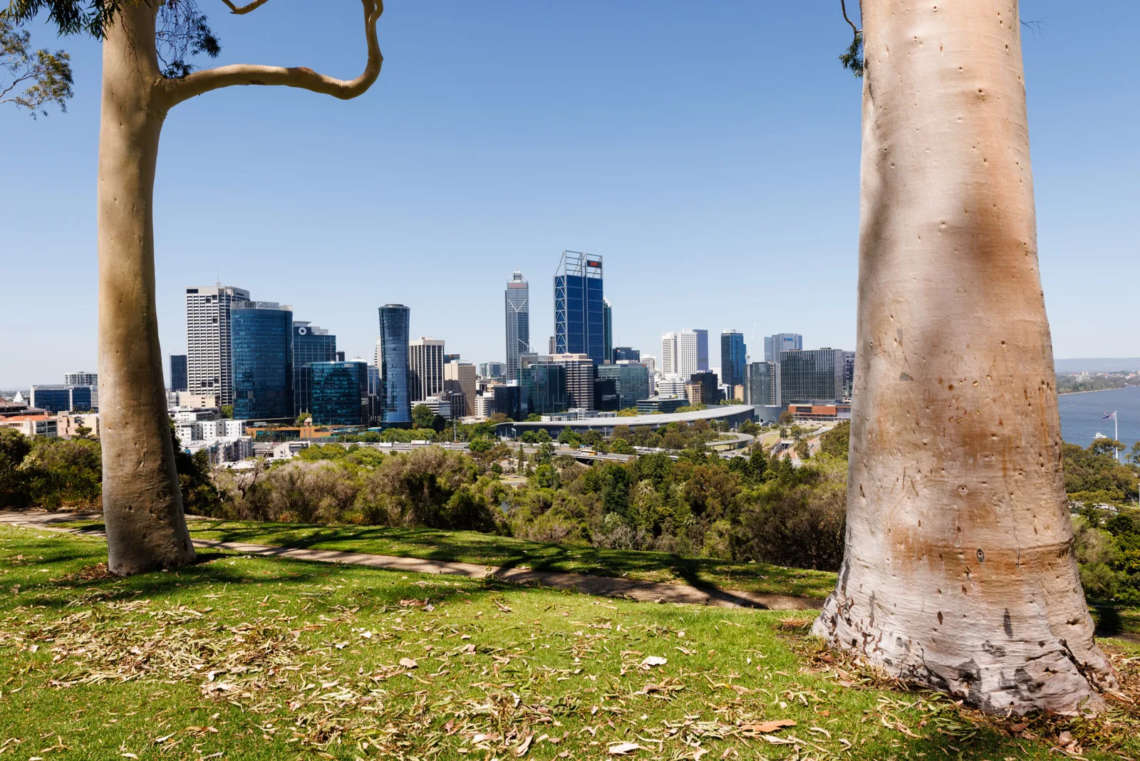 WA holds off QLD to remain top performing state