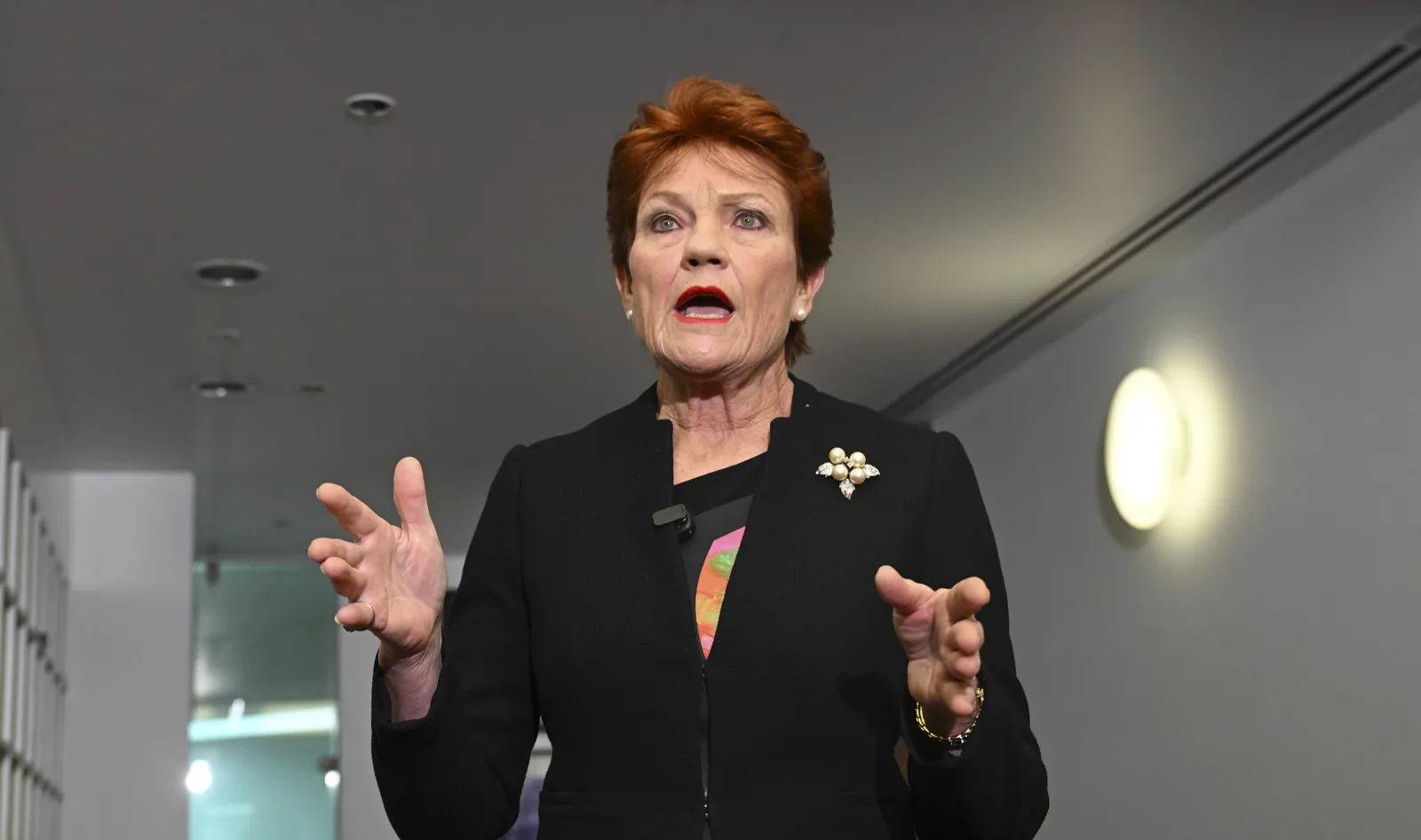 Pauline Hanson has confirmed her party's plan to allow early access to superannuation to buy a home.