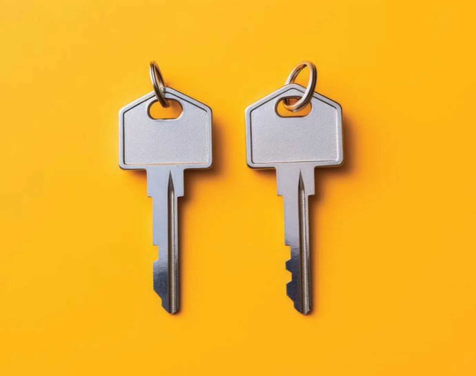 Doubling down: How home investors are making the most of their land lot while helping the housing supply crisis