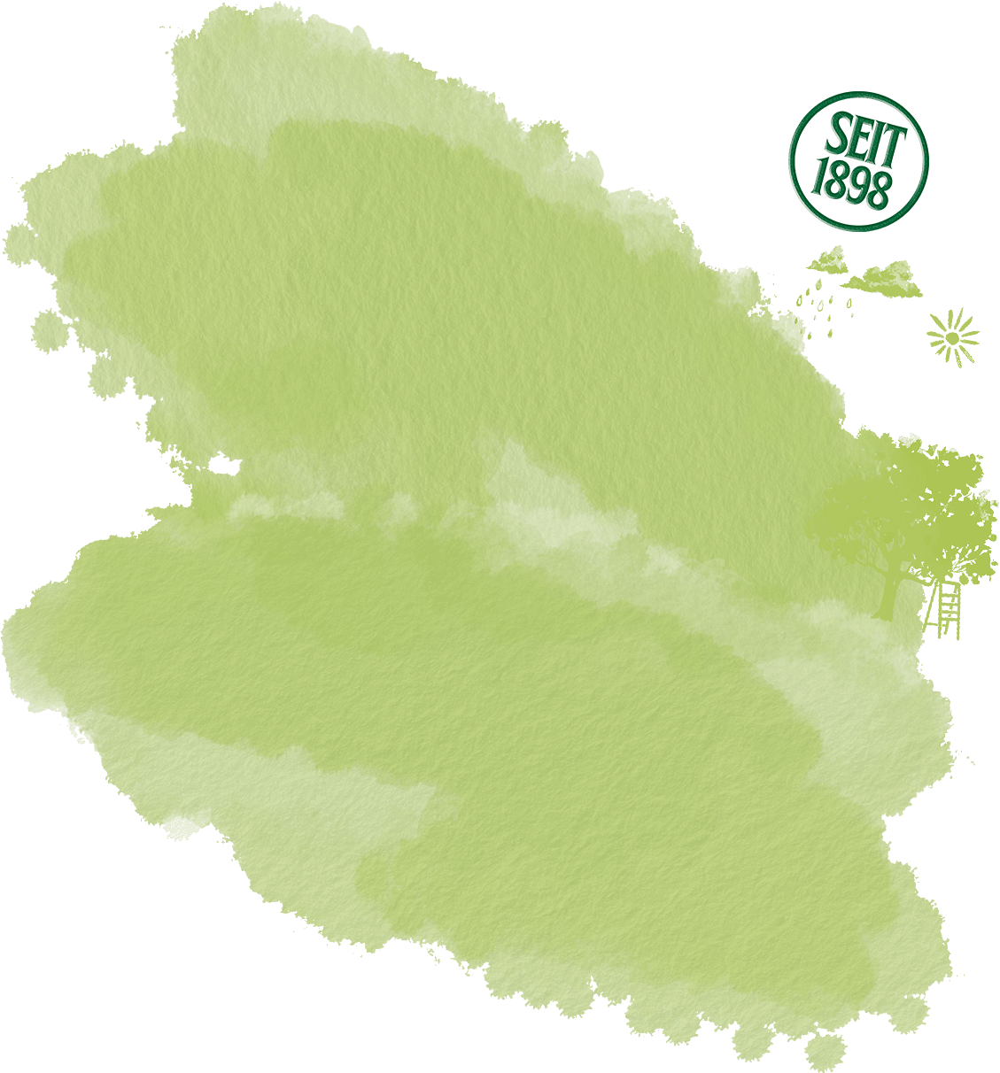 Grüner Aquarellhintergrund mit einem grünen Siegel rechts oben in der Ecke "SEIT 1989"