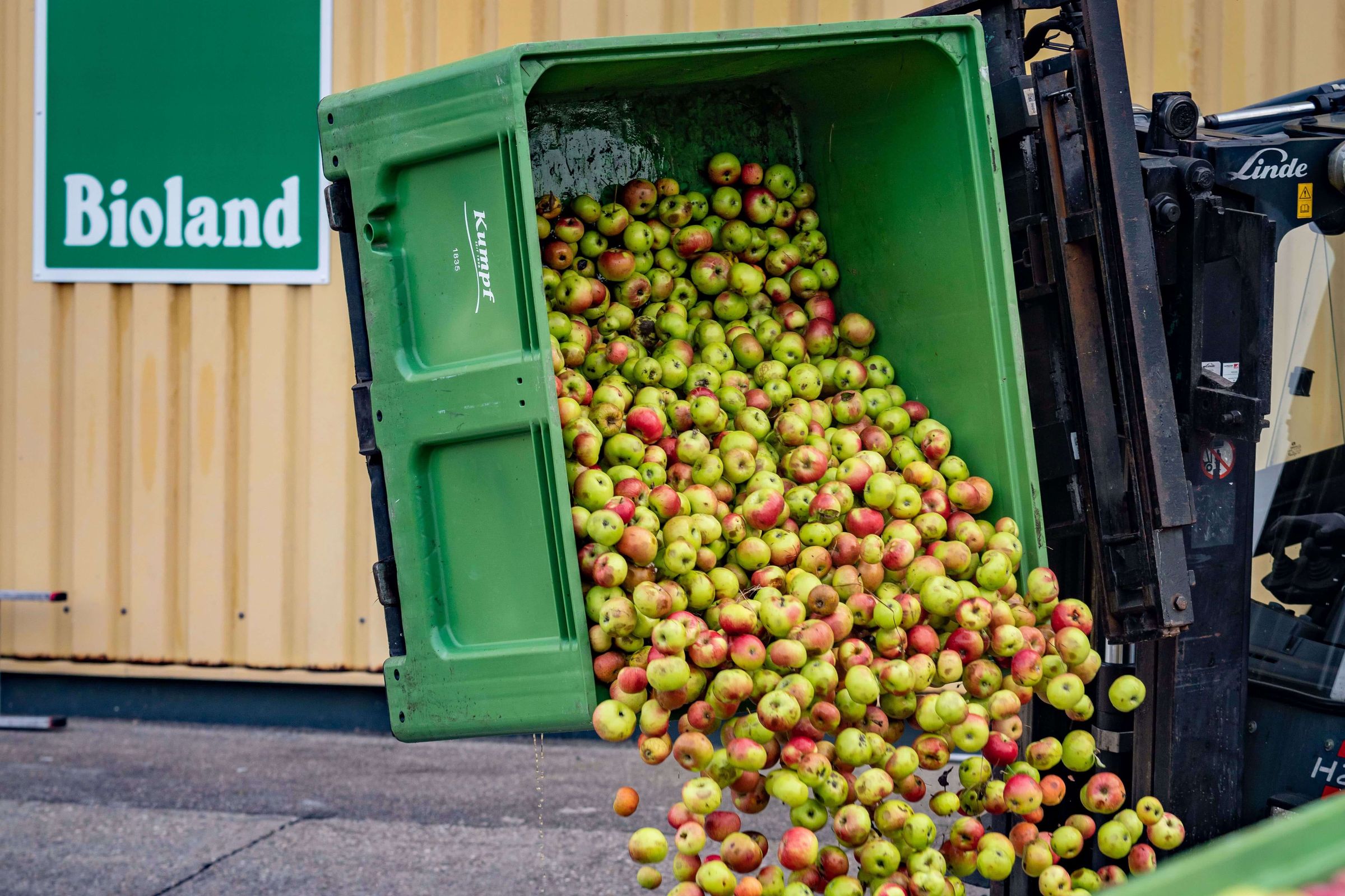 Ein Container kippt grüne und rote Äpfel auf den Boden. Im Hintergrund ein Bioland-Schild an einer gelben Wand.