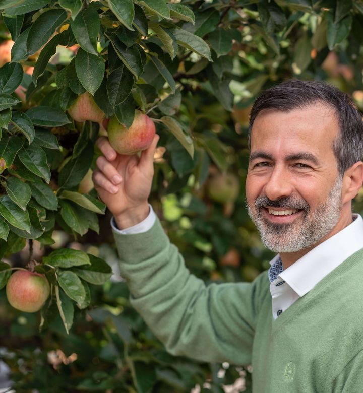 Albrecht Kumpf pflückt einen Apfel von einem Baum