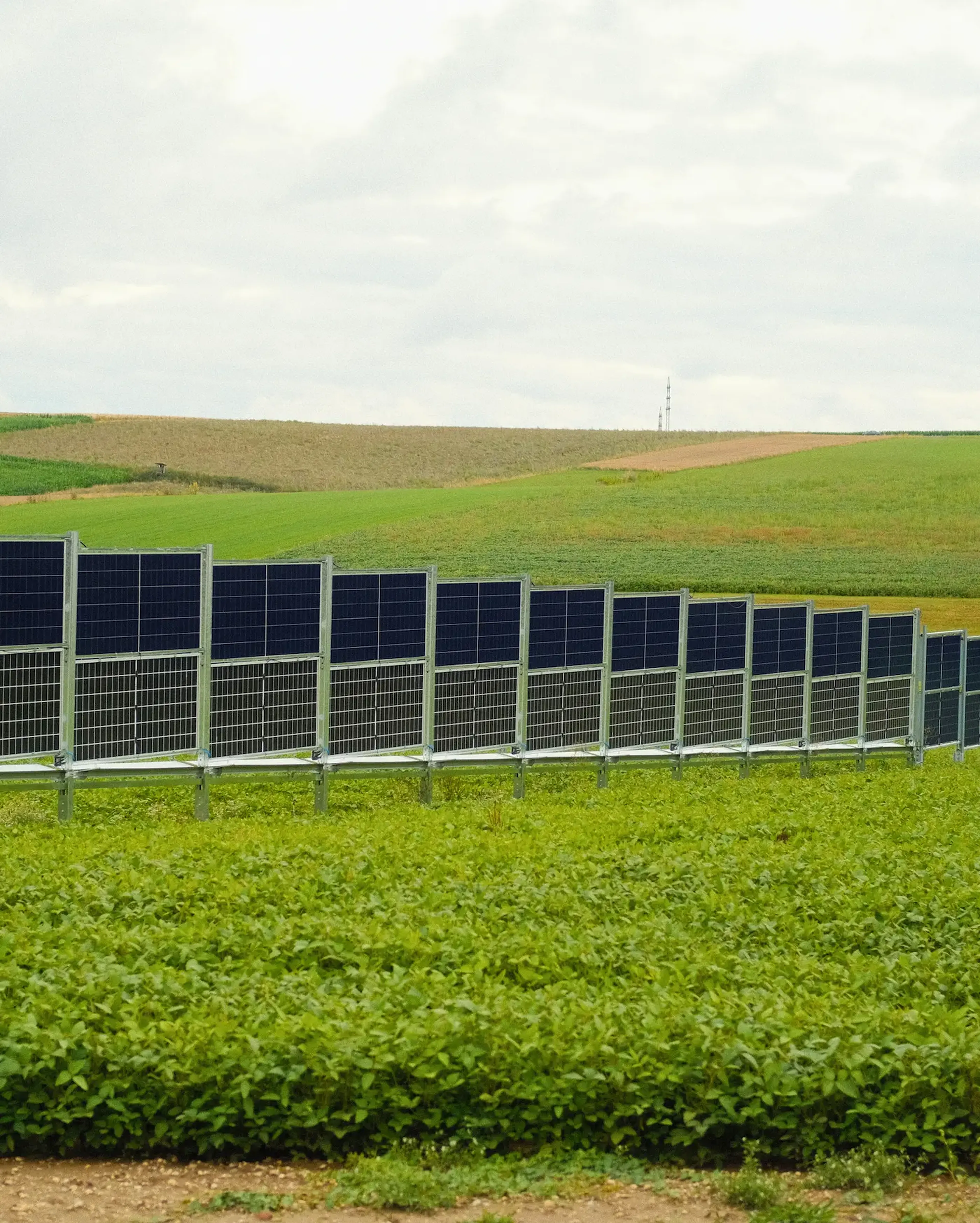 Rows of solar panels in a green field under a cloudy sky, with rolling hills in the background.