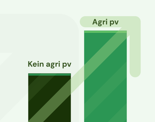 Höhere Rentabilität