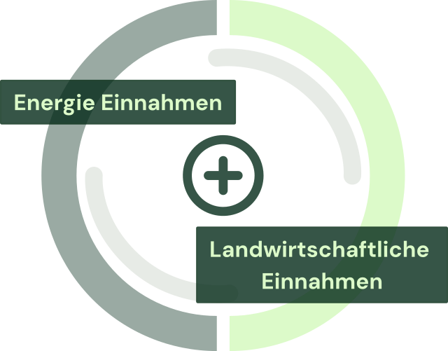 Doppelte Einnahmequellen