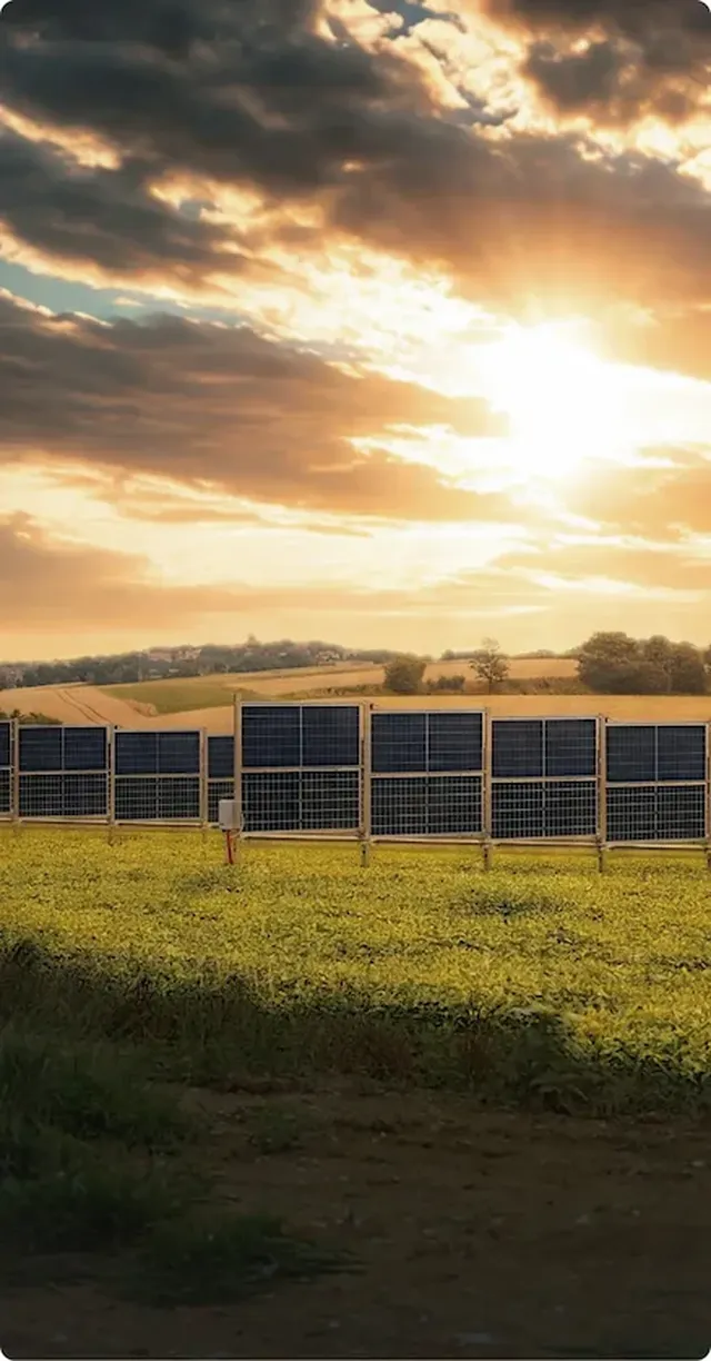 Solar panels in a green field under a dramatic sunset sky, with rolling hills and scattered clouds in the background.