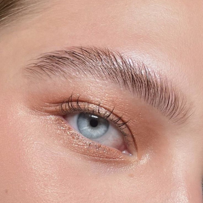 Close-up of a woman's blue eye showing a neatly shaped and tidied natural brow.