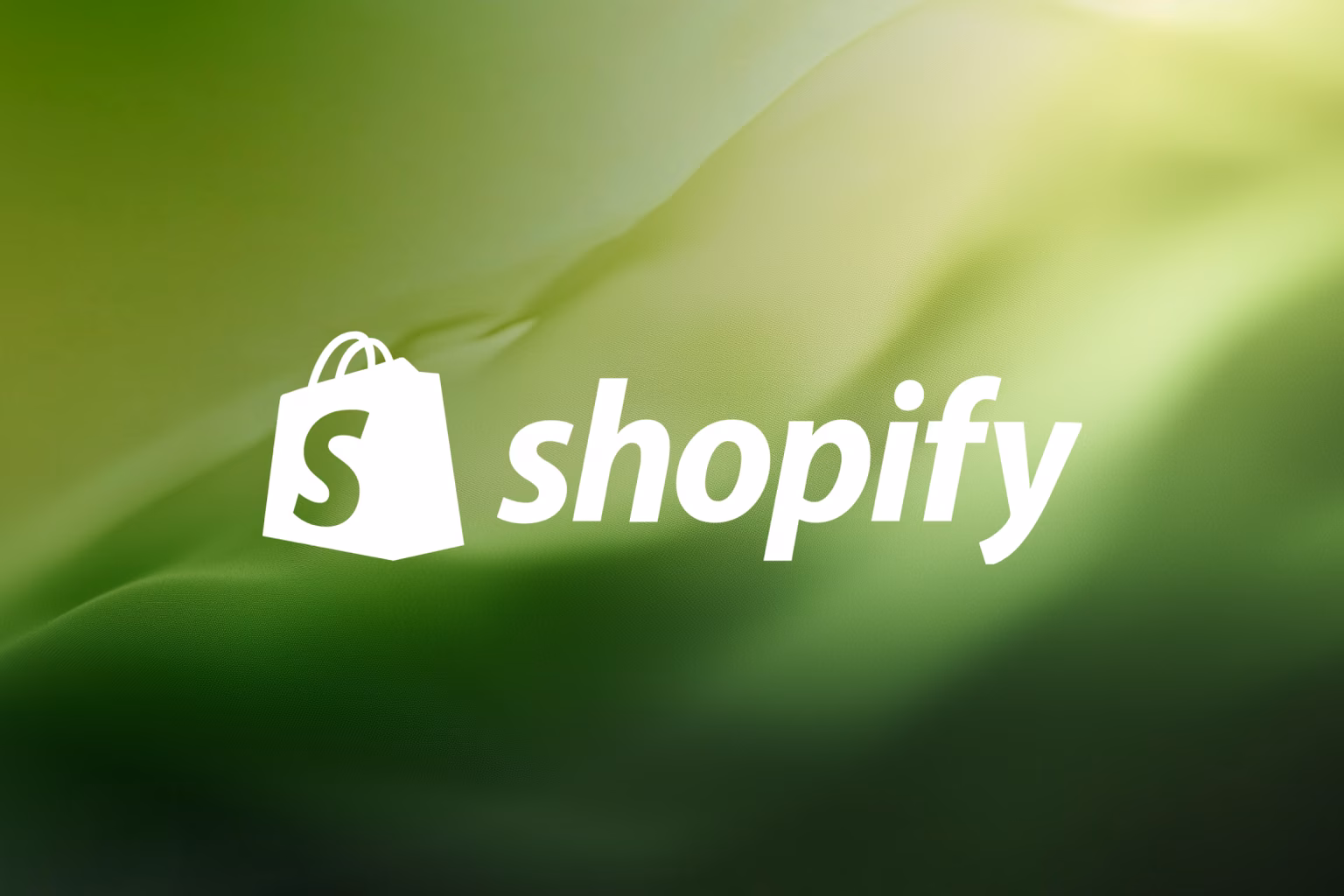 Shopify Experten