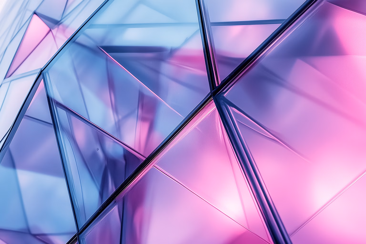 Web App Agentur